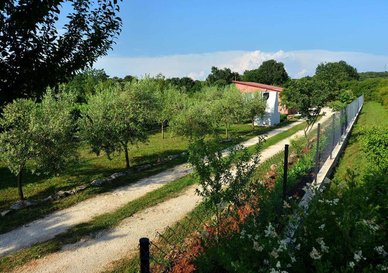 Sunset Garden House Vrsar Villa Kültér fotó